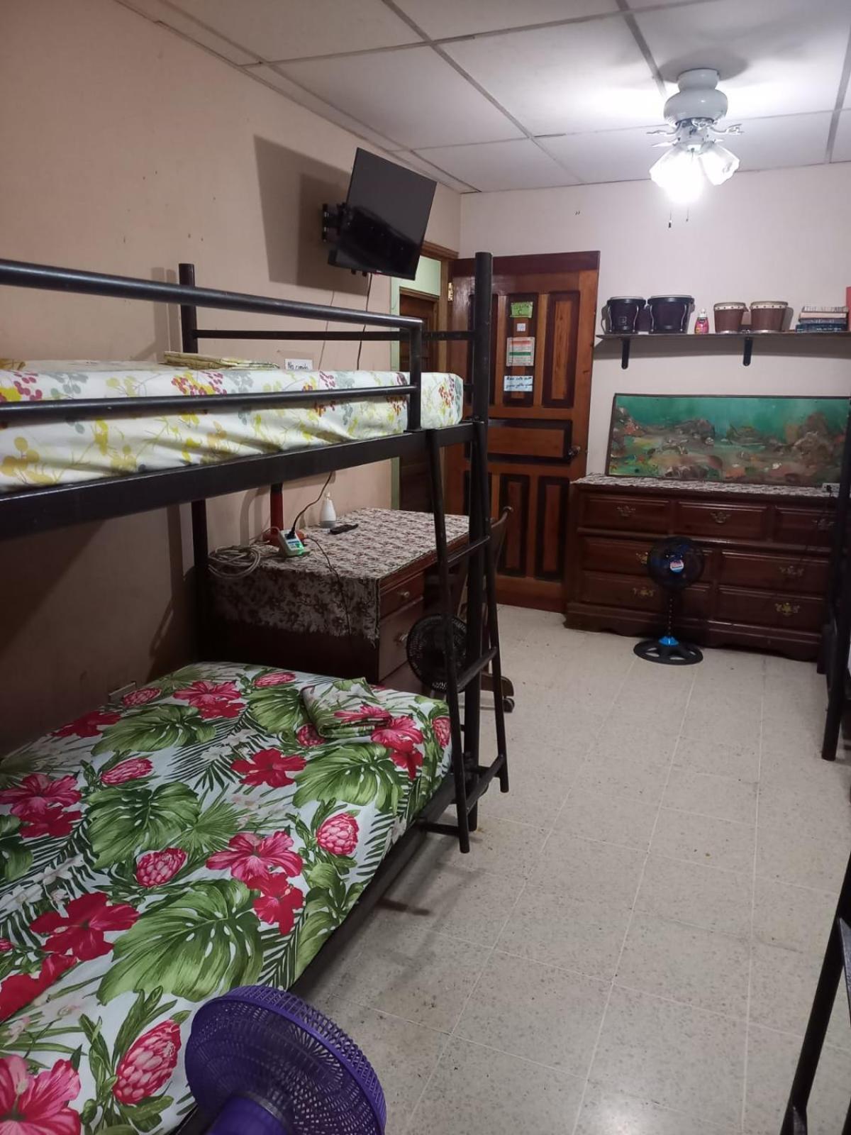 Pacasa Hostel David Extérieur photo