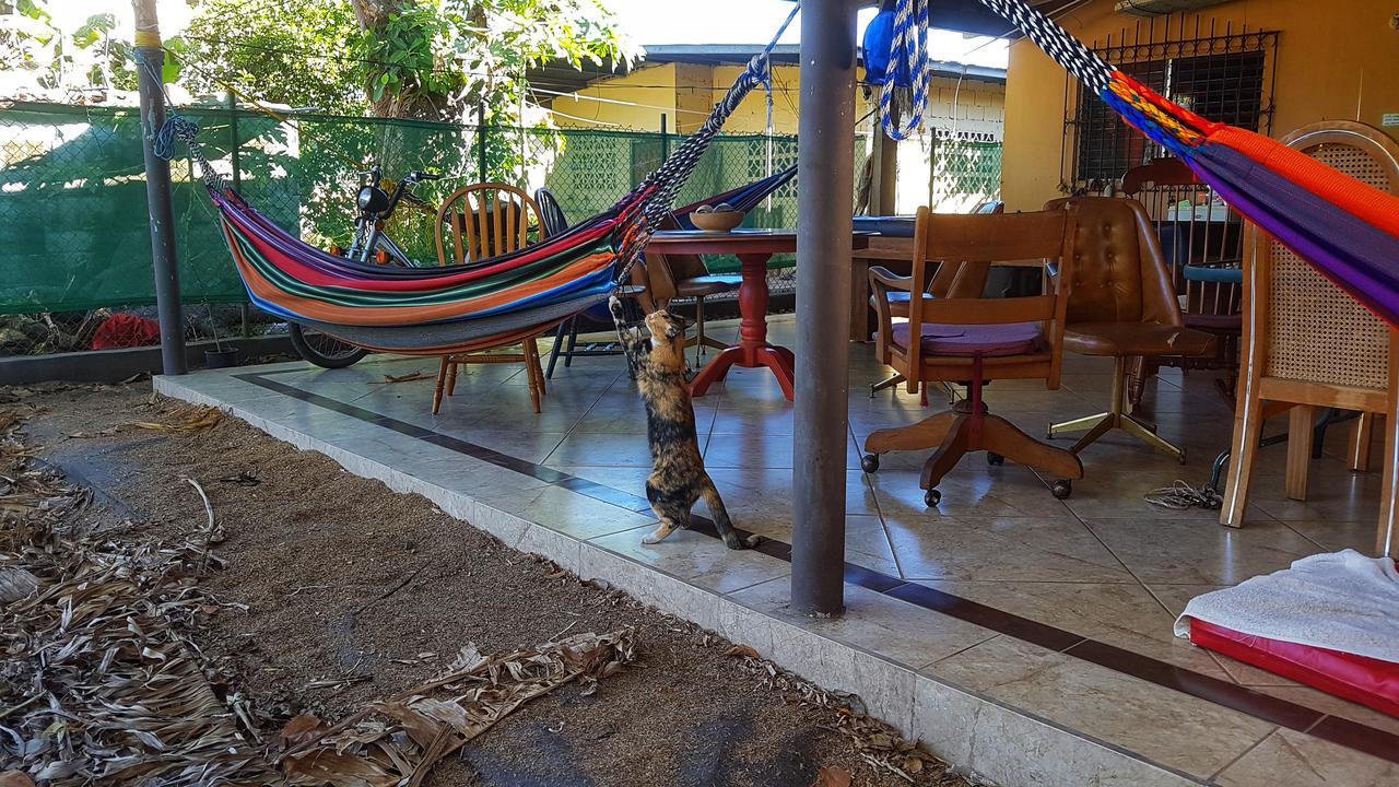 Pacasa Hostel David Extérieur photo